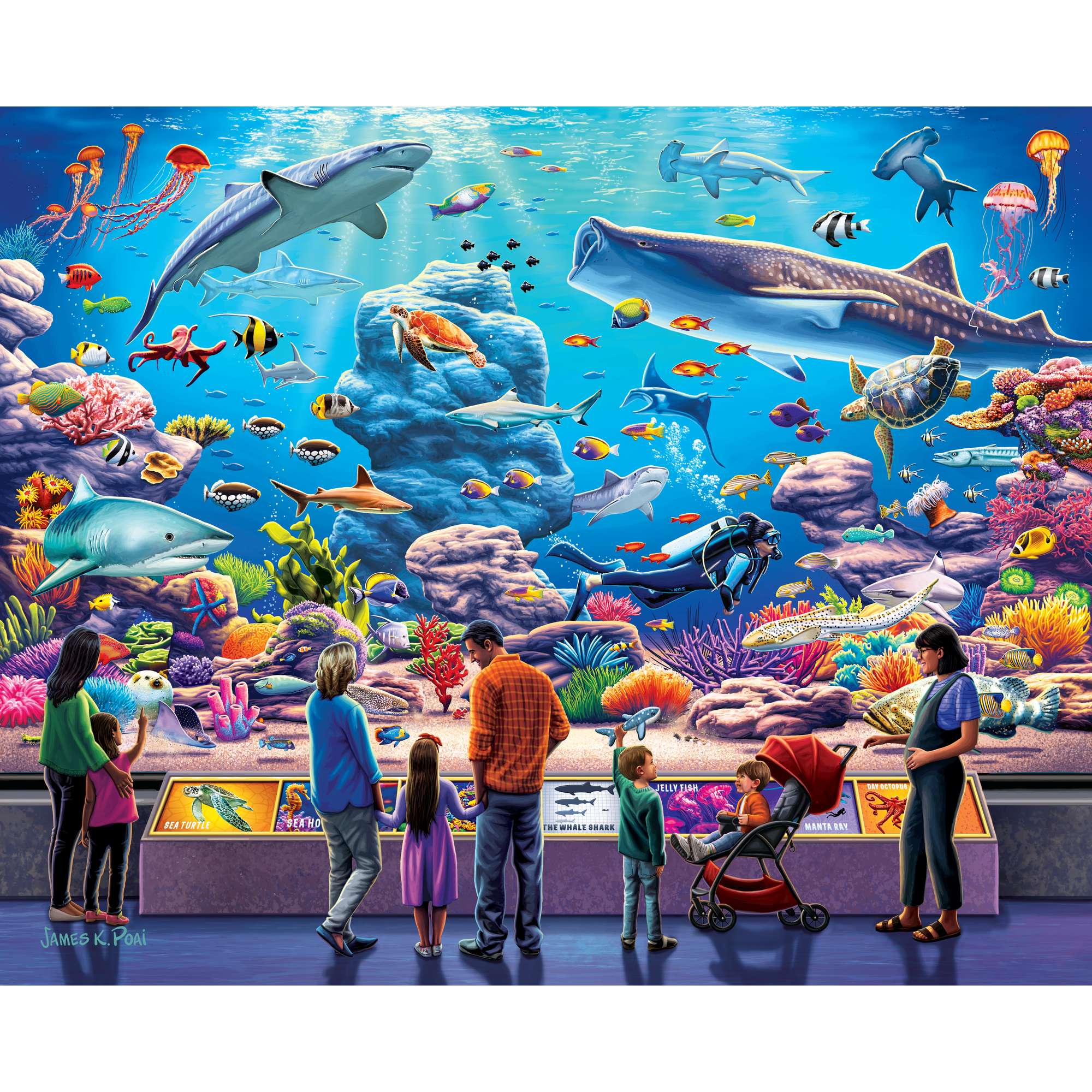 Aquarium | 500 Piece
