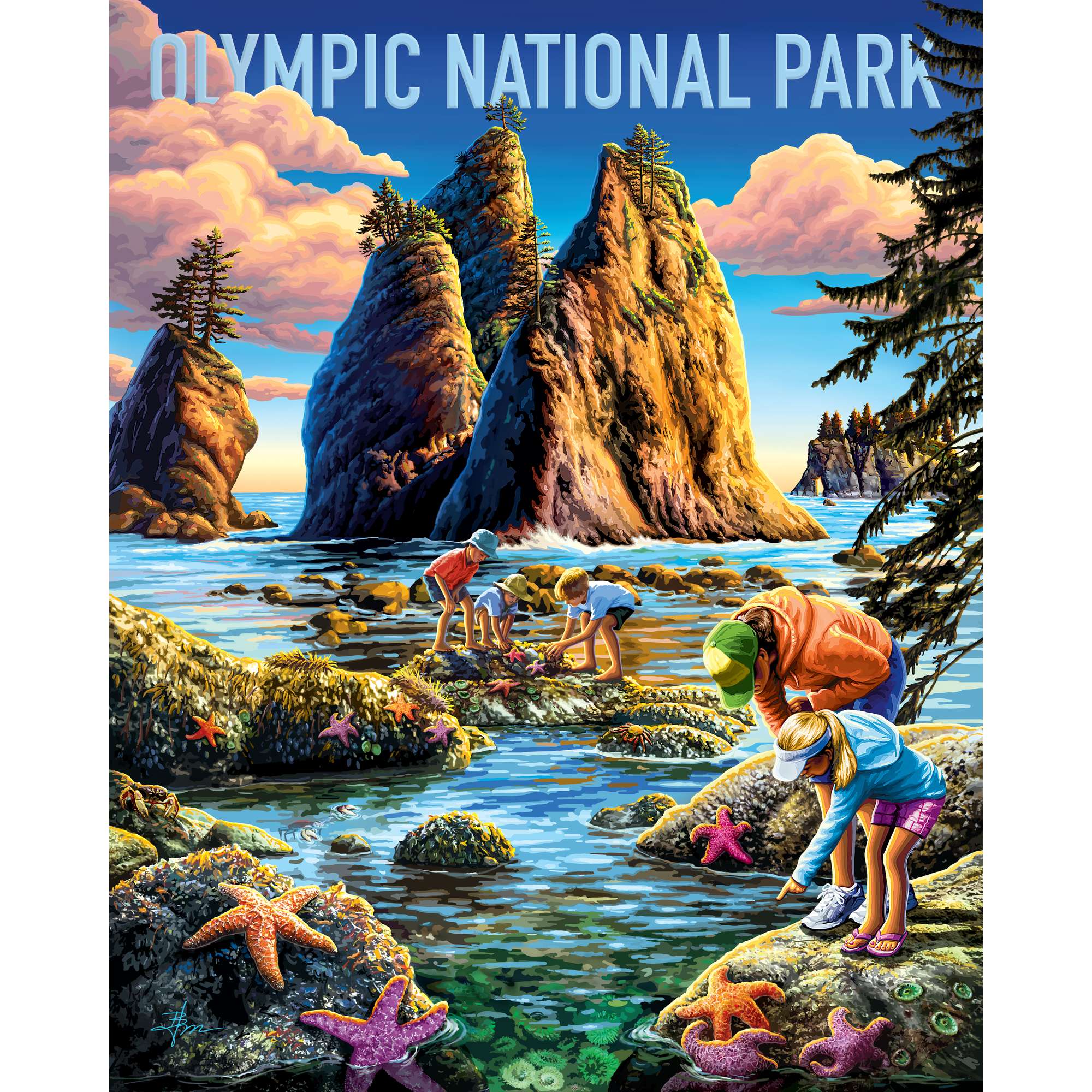 Olympic National Park | 500 Piece